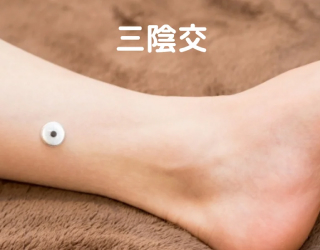 【三陰交】さんいんこう