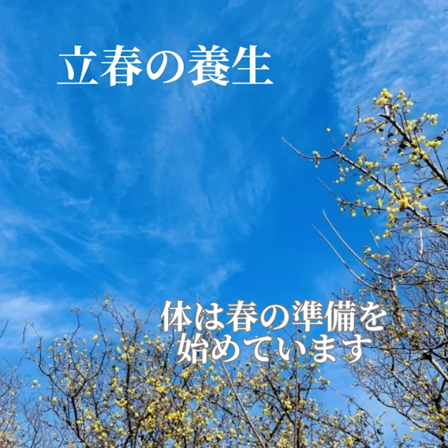 立春の養生 体は春の準備を始めています